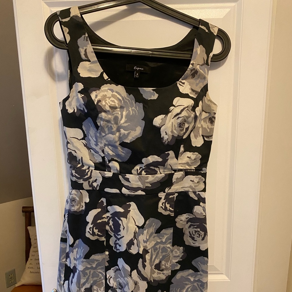Express Floral Print Scoop Neck Dress Size 4